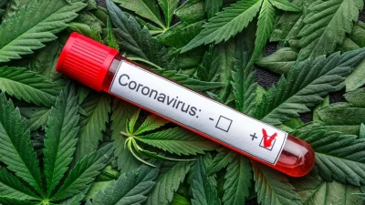 COVID-19-coronavirus-and-cannabis