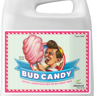 bud candy