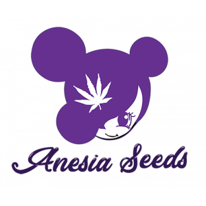 Anesia Seeds Logo 11 3