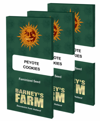 Peyote Cookies e1648489446293 3