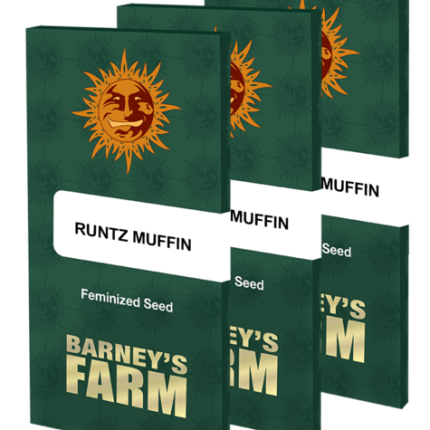 Runtz-Muffin