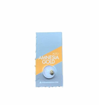 Amnesia-Gold-Auto