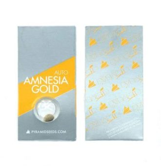 Amnesia Gold Auto