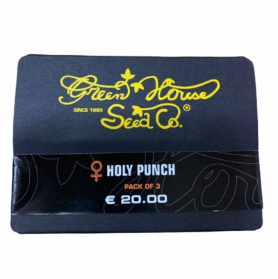 Holy-Punch-3