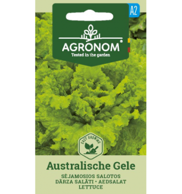 lettuce australische gele e1639645449688 9