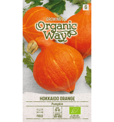 Pumpkin-Hokkaido-Orange