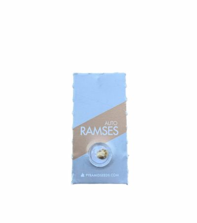 Ramses-Auto