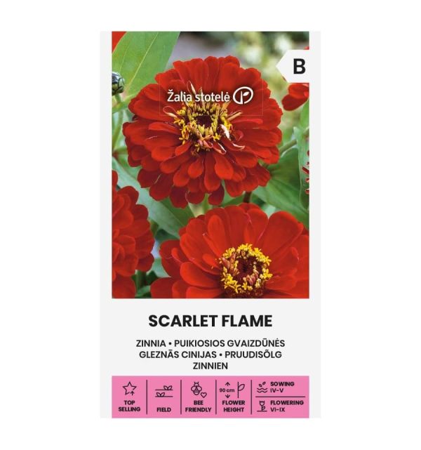 ZINNIA-SCARLET FLAME