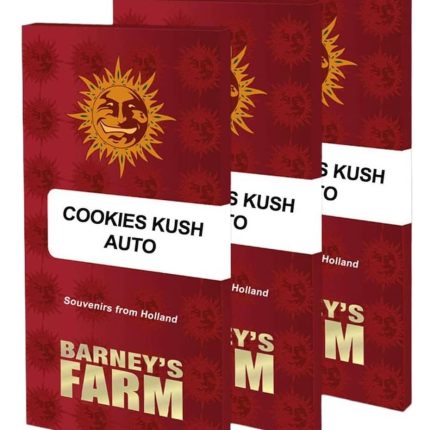 Cookies Kush Auto