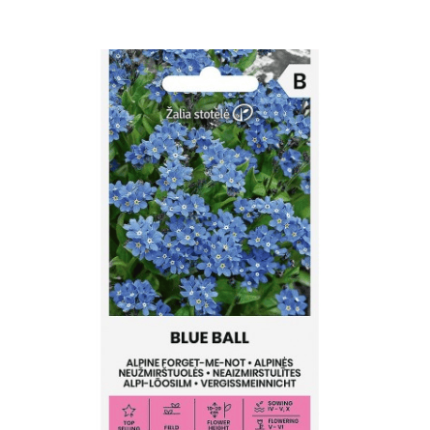 FORGET-ME-NOT BLUE BALL